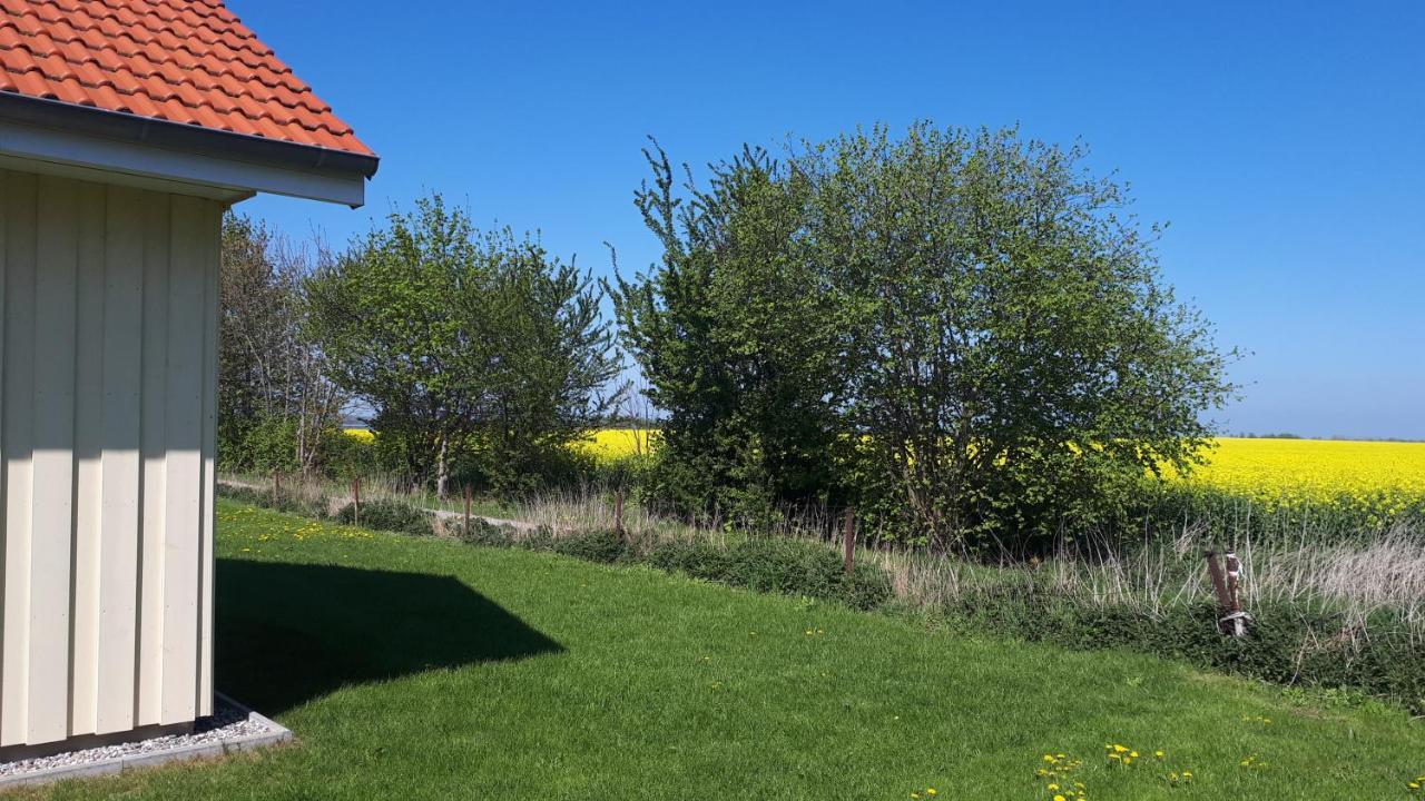 Ferienhaus Seestern Altefähr Exterior foto